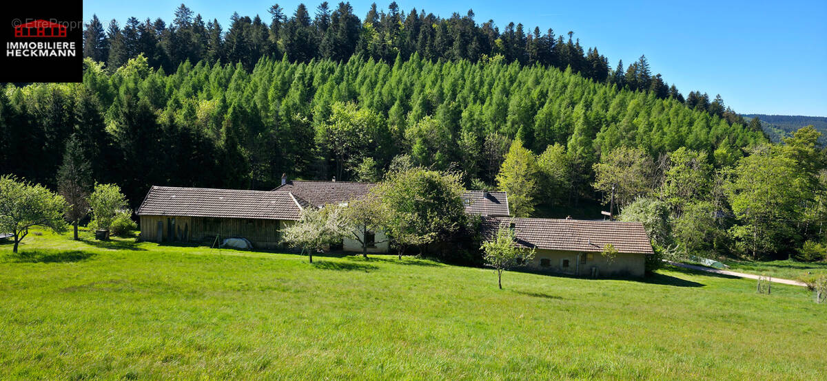Maison à URBEIS