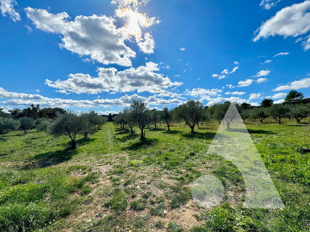 Maison à MOISSAC-BELLEVUE