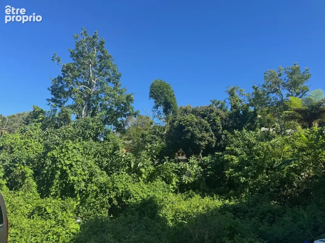 Terrain à LE TAMPON