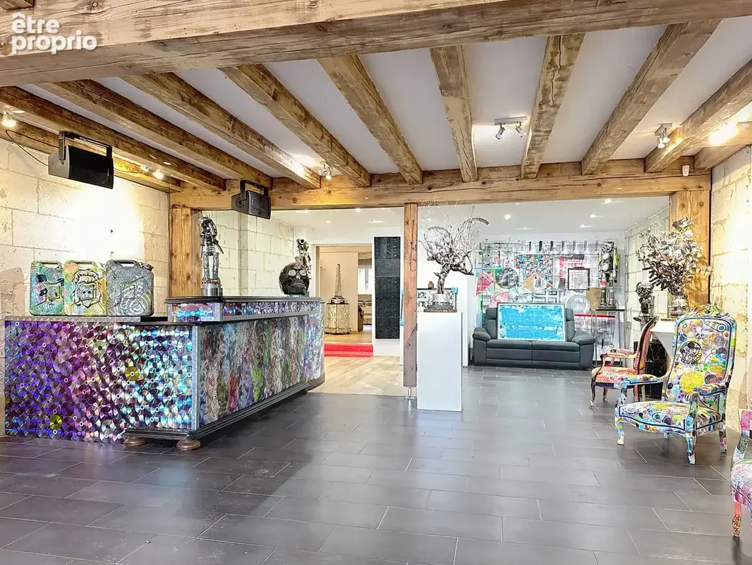 Maison d'artiste en bord de loire à montsoreau - photo 3
