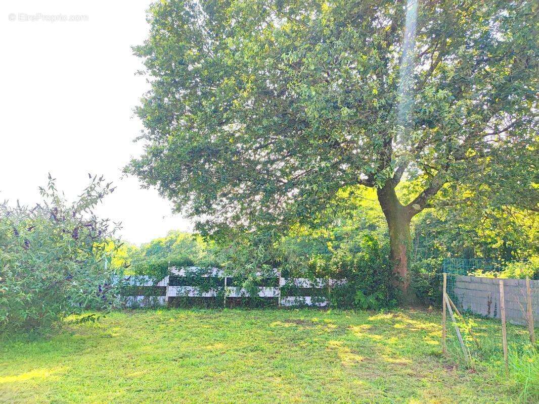 Maison à RIVIERE-SAAS-ET-GOURBY