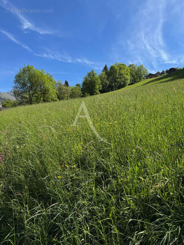 Terrain Le Grand Bornand - photo 5