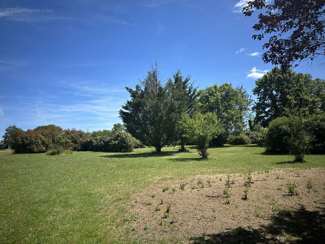 Maison type 4 + gîte sur ancien terrain de camping - photo 3
