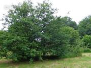 Terrain à SAINT-BREVIN-LES-PINS