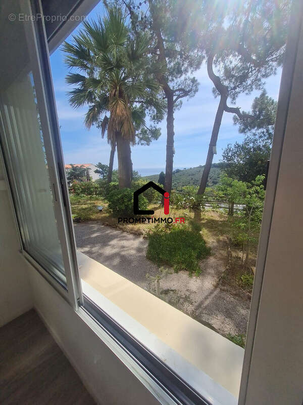 Appartement à BANYULS-SUR-MER