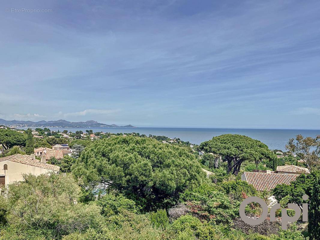 Terrain à ROQUEBRUNE-SUR-ARGENS