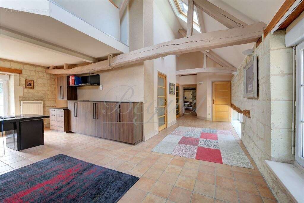 Indre et loire - chinon / thizay 37500 - maison 234 m² - 5 ch - deux gites - piscine - parc 8 000 m² - photo 10