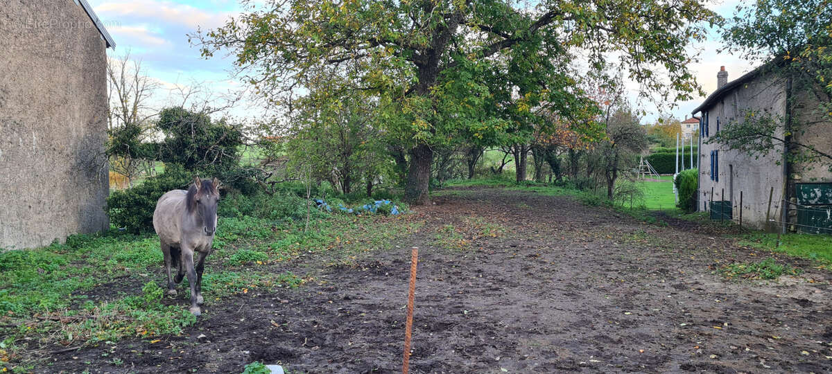 Terrain à SIVRY-LA-PERCHE