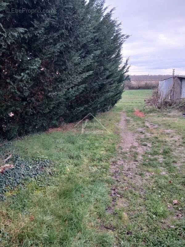 Terrain à VARENNES-SUR-ALLIER