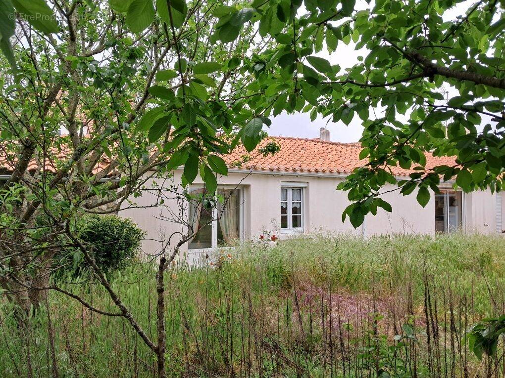 Maison à BOUIN