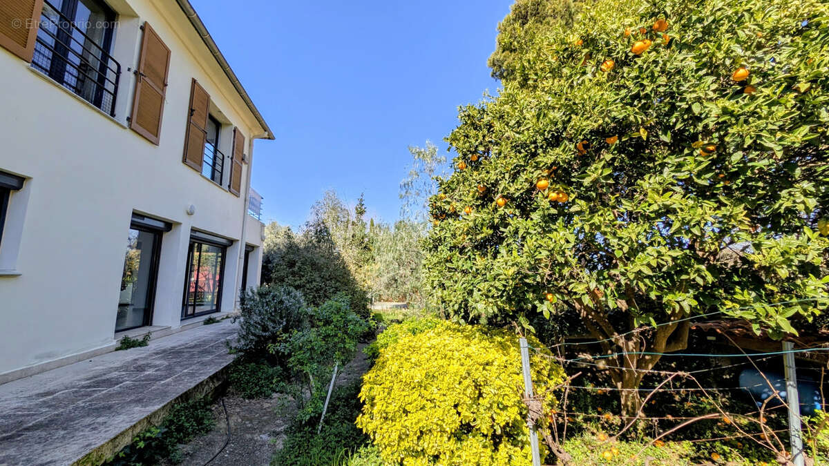 Maison à LAROQUE-DES-ALBERES