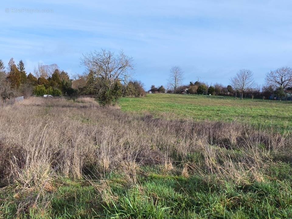 Terrain à SALLES-D'ANGLES