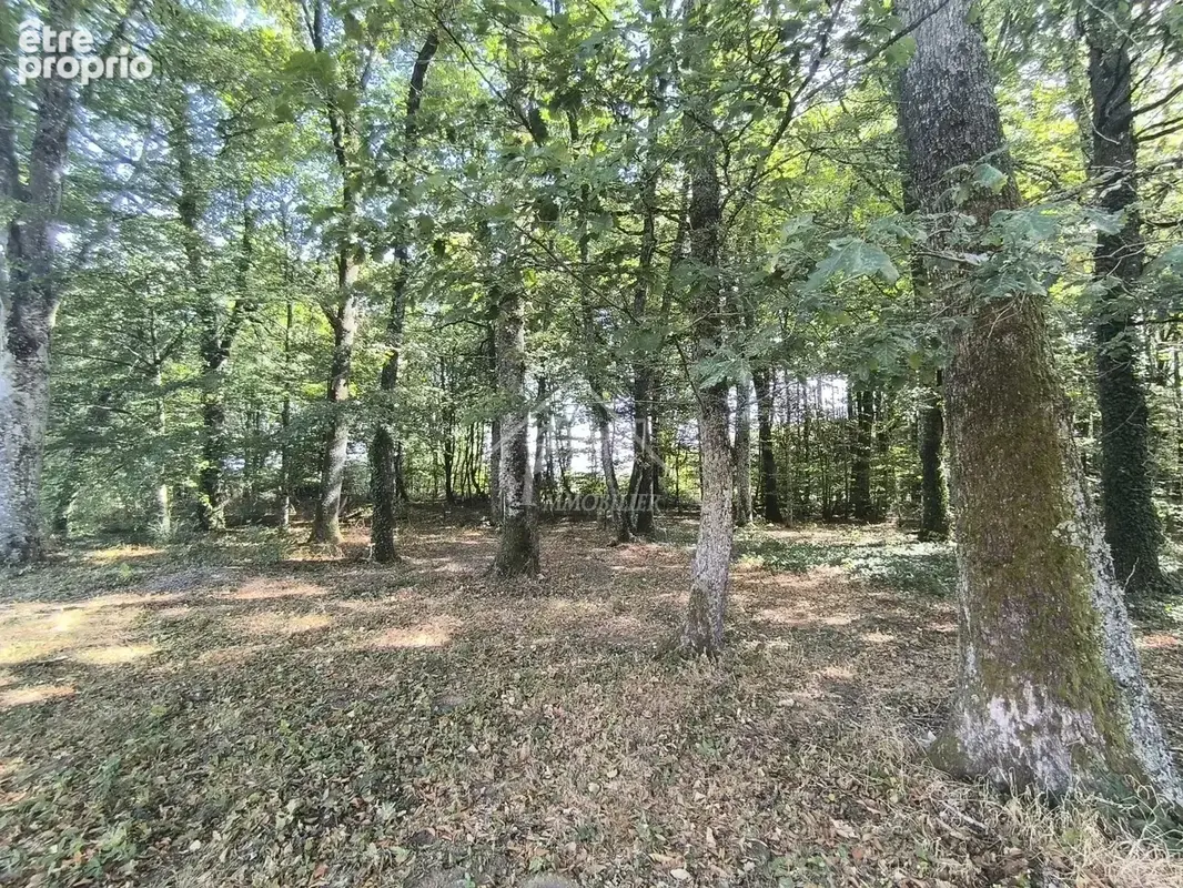 Maison coup de coeur - photo 13