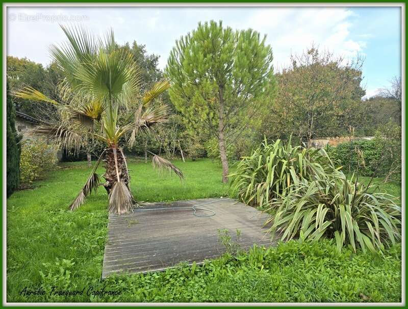 Maison à ANTEZANT-LA-CHAPELLE