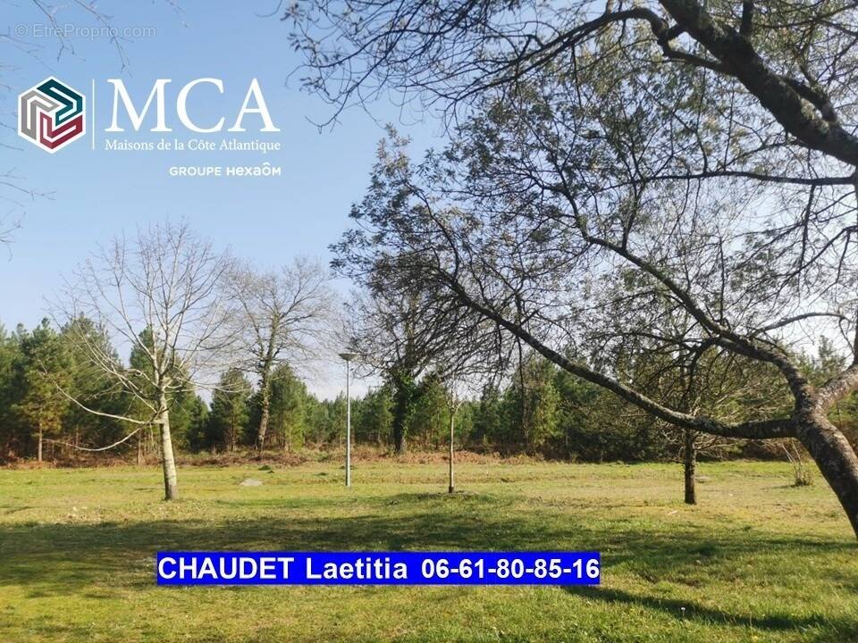 Terrain à SANGUINET