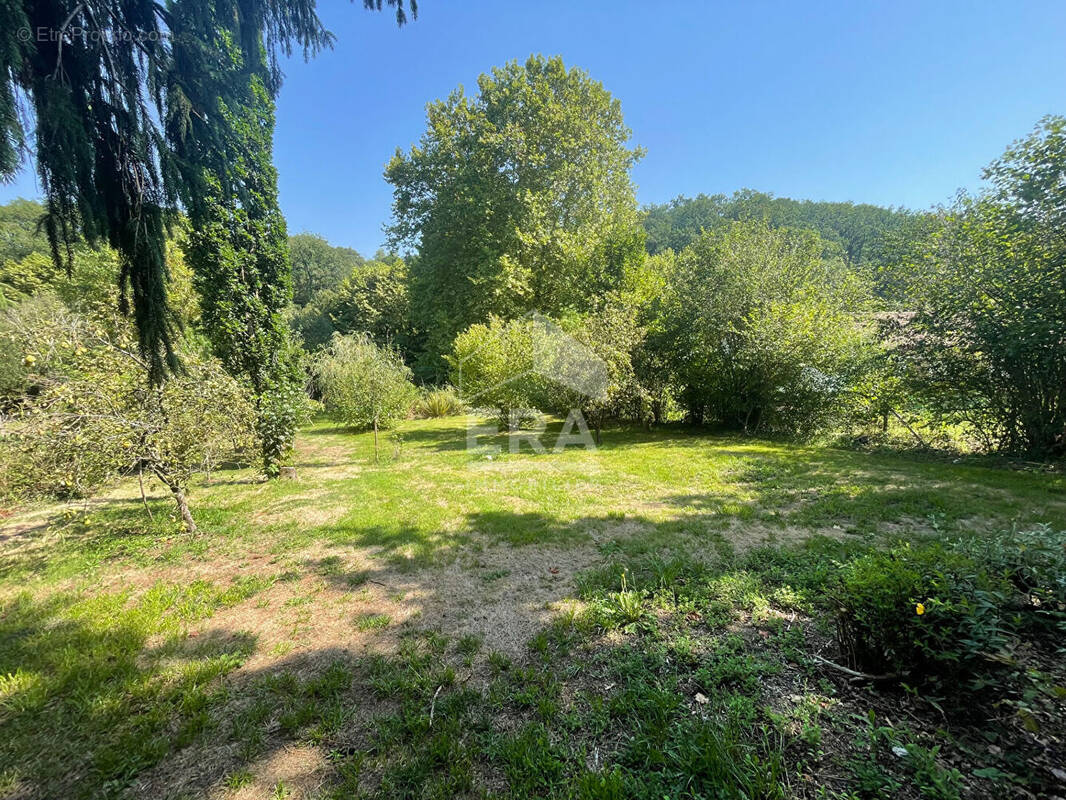 Terrain à LA BASTIDE-CLAIRENCE