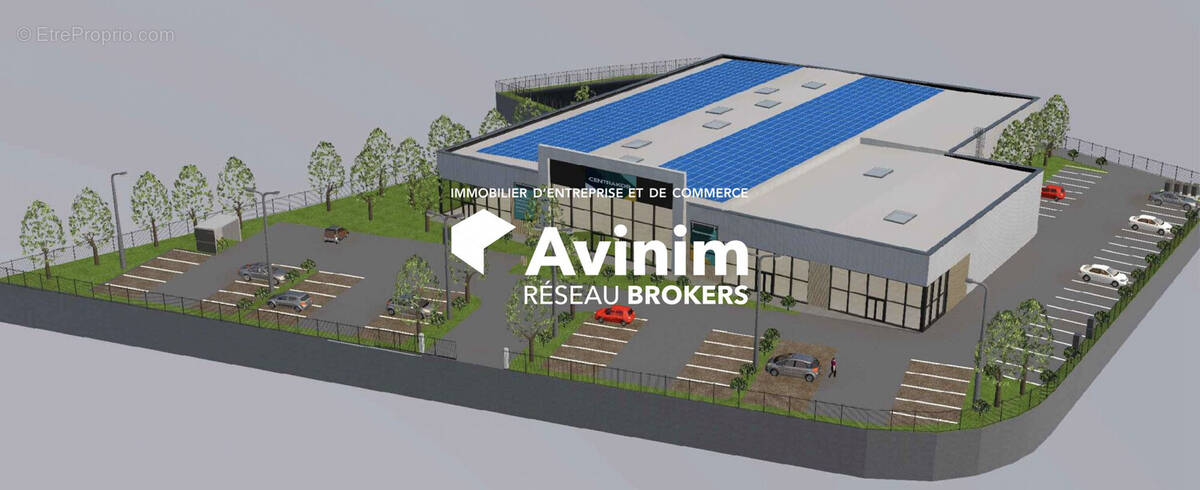 Commerce à CALVISSON