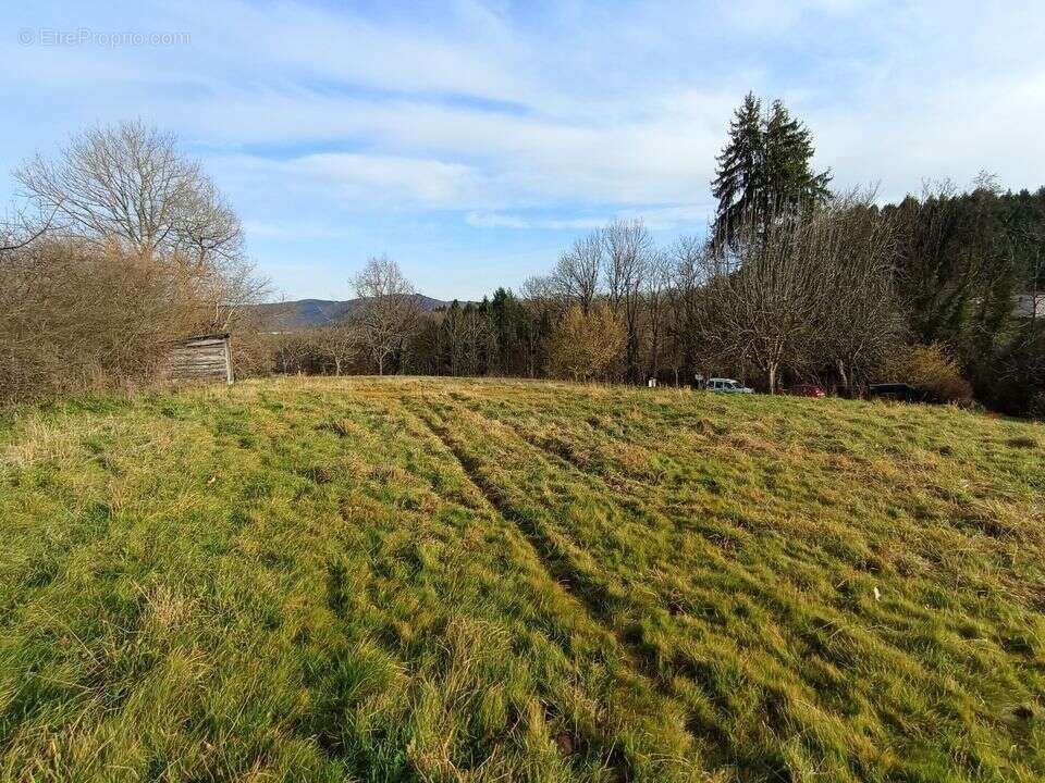 Terrain à LE MAYET-DE-MONTAGNE