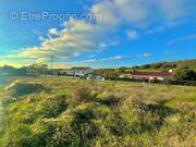 Photo 1 - Terrain à SAINT-MICHEL-LE-CLOUCQ