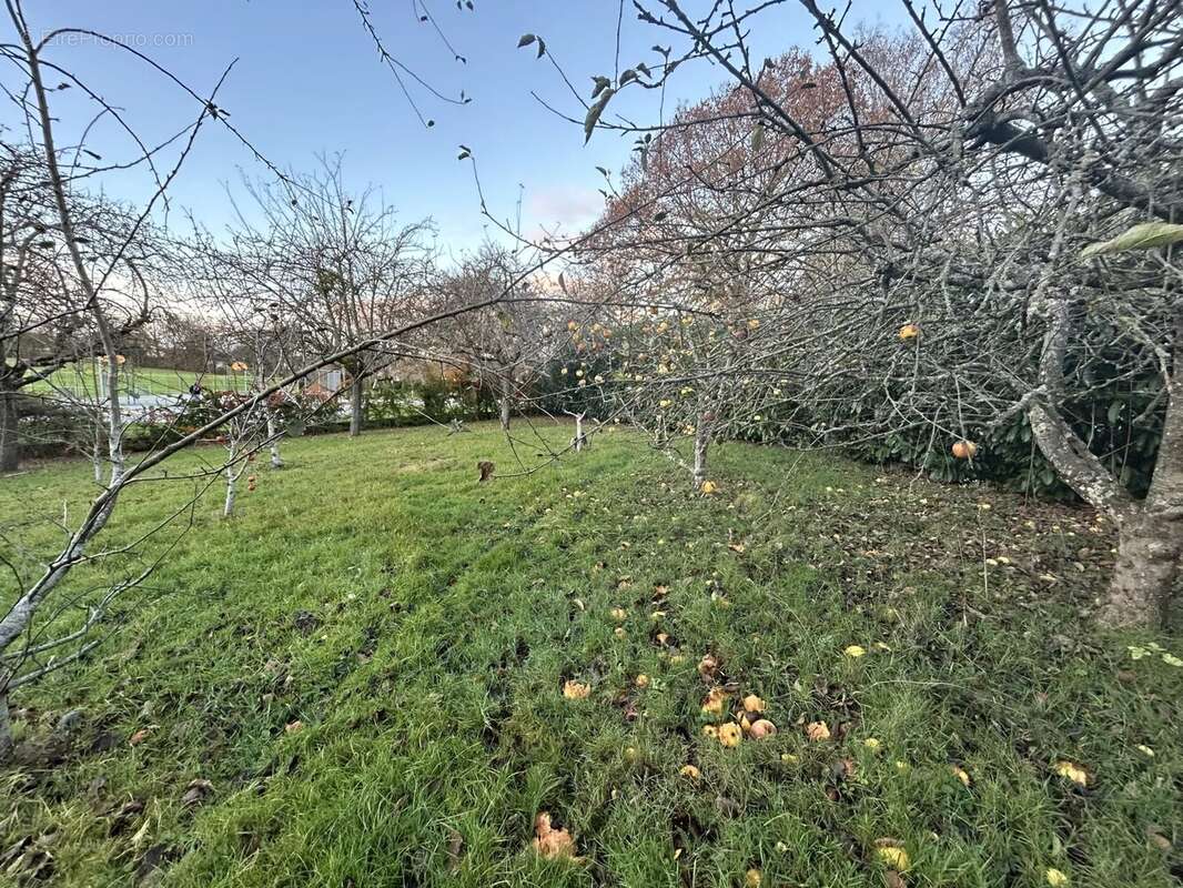 Maison à MORTAGNE-AU-PERCHE