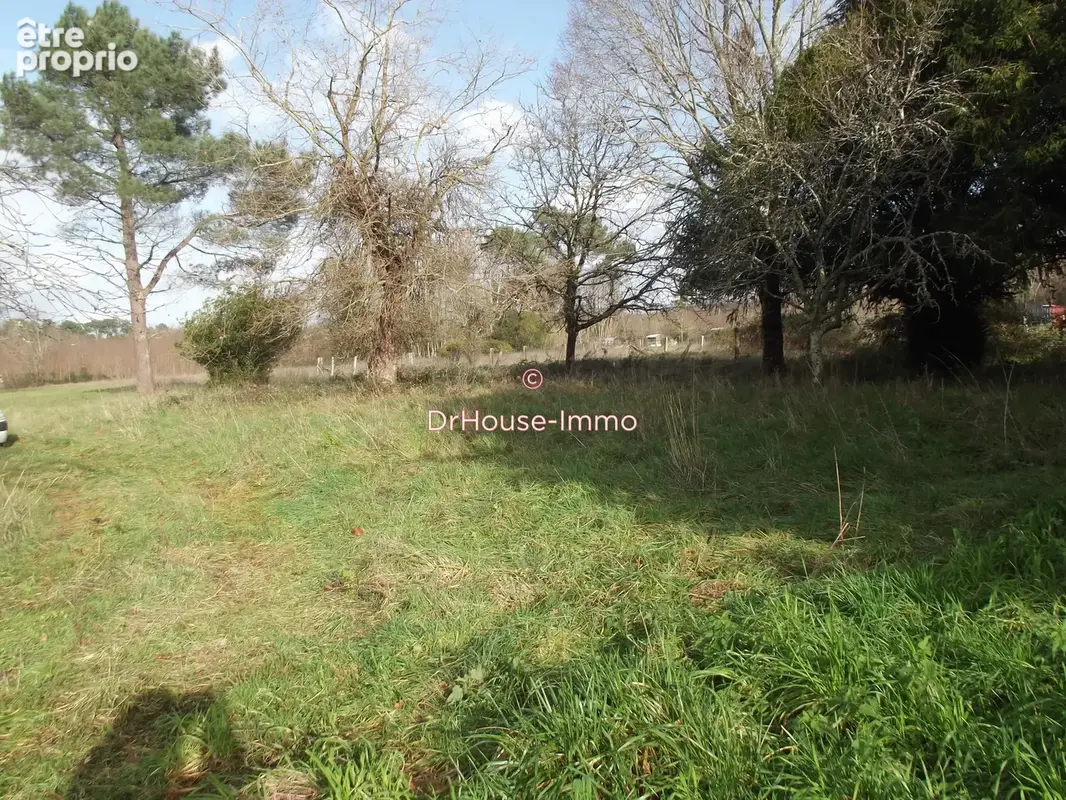 Terrain 4 260 m² à vendre à Cissac-Medoc (33250) - photo 9