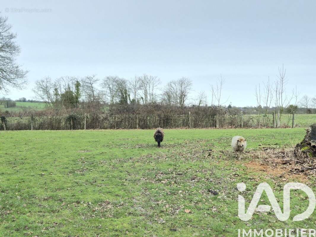 Photo 3 - Maison à VAL-D'IZE