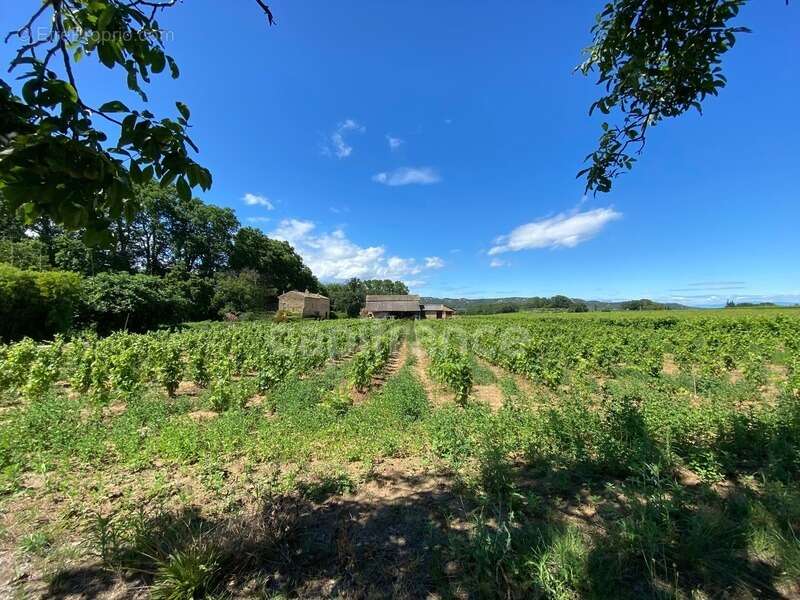 Dpt Gard (30), Domaine viticole de 16 hectares avec Chai et ancienne ferme indépendante - photo 4