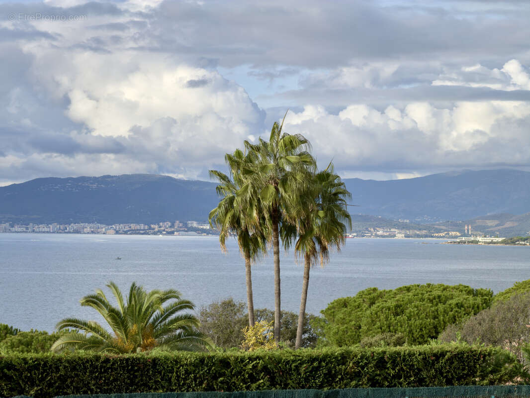 Maison à PIETROSELLA