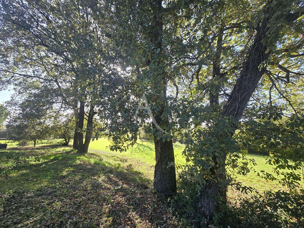 Maison à MONTASTRUC-LA-CONSEILLERE