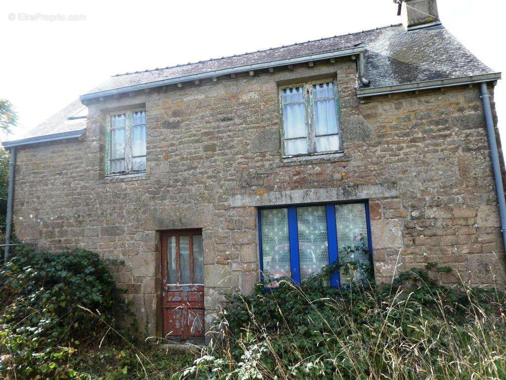 Propriété - photo 2