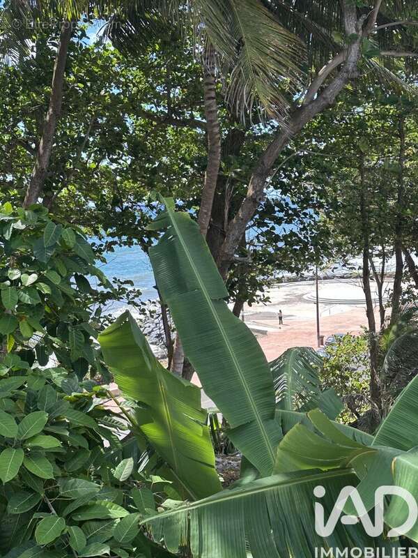 Photo 5 - Appartement à CAPESTERRE-BELLE-EAU