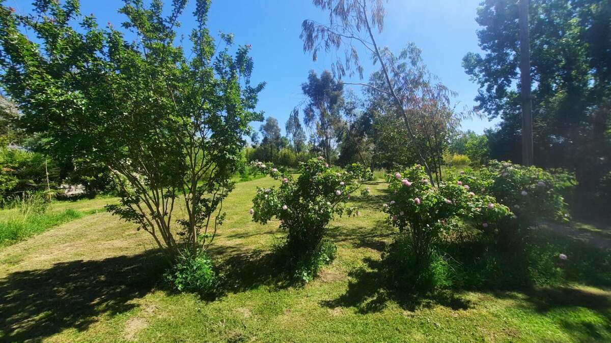 Maison à SAINT-JORY