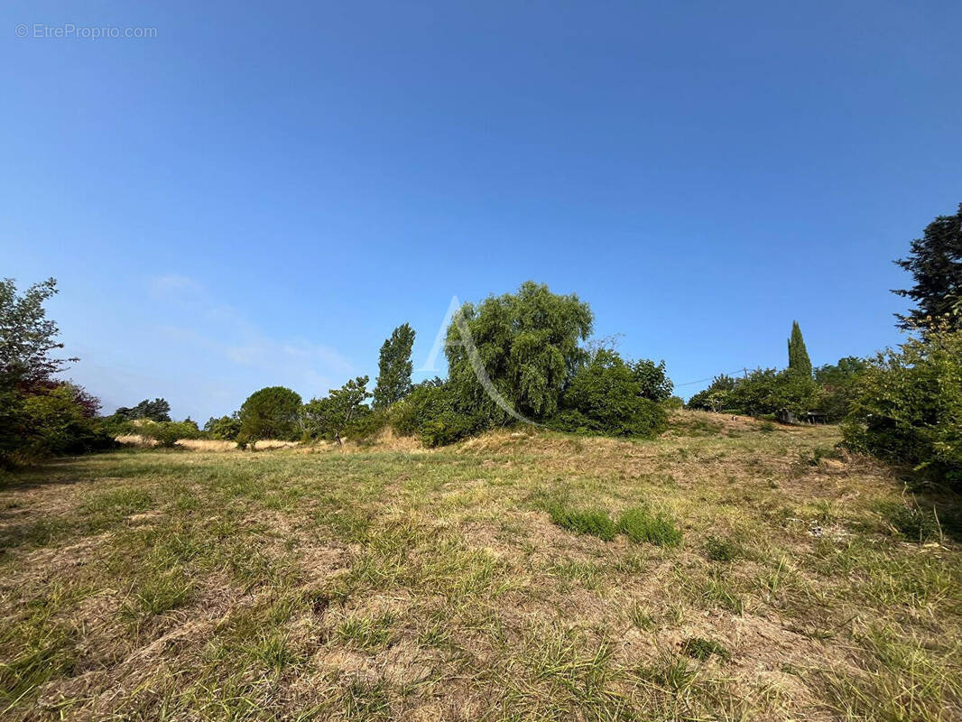 Terrain à RABASTENS