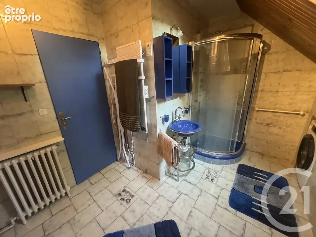 Maison 219 m² à Etais-La-Sauvin  - photo 21