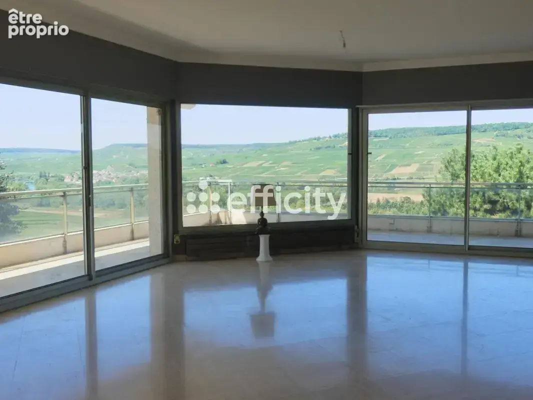 Maison 8 pièces 295 m² à vendre à Oeuilly (51480) - photo 5
