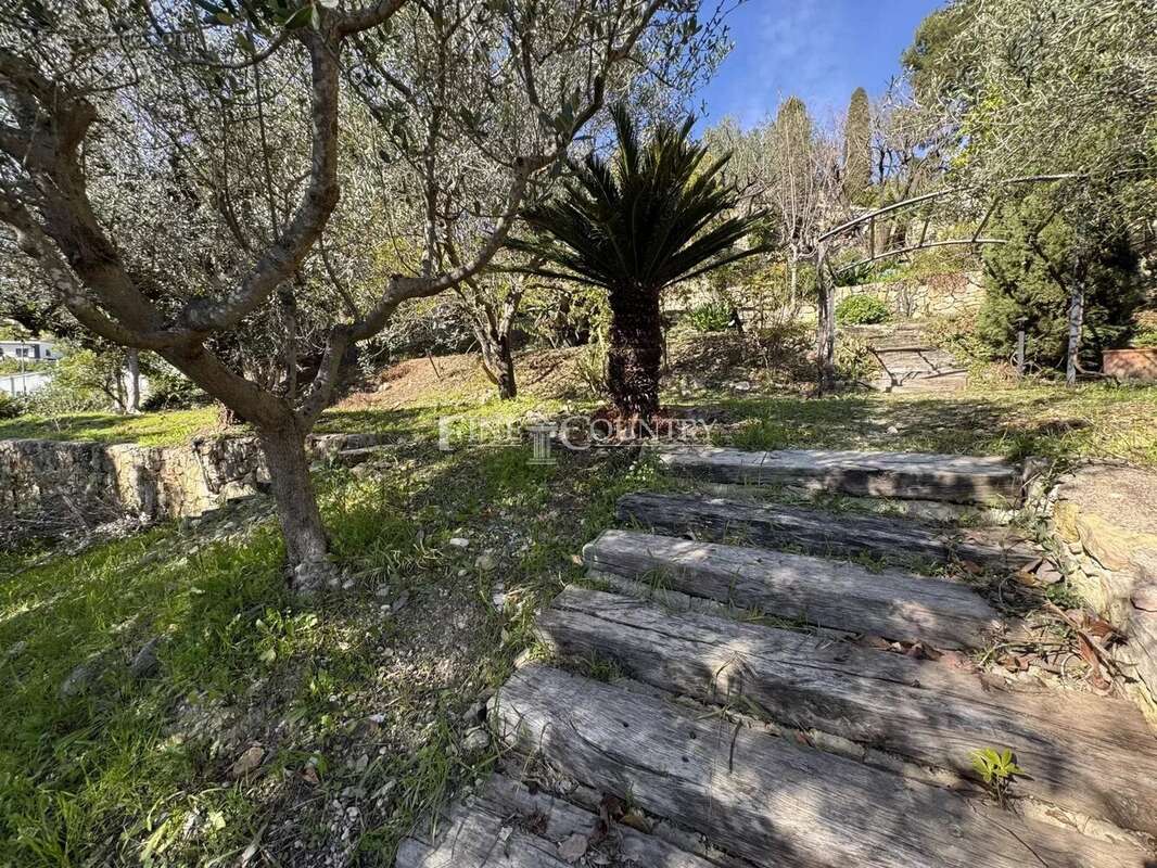 Terrain à VALLAURIS