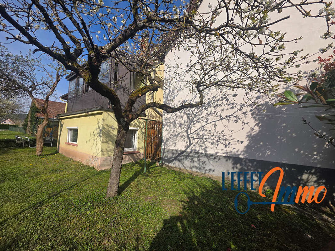 Maison à WUENHEIM