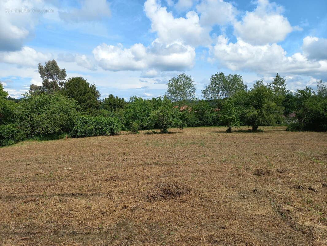 Terrain à CASTELNAU-MAGNOAC