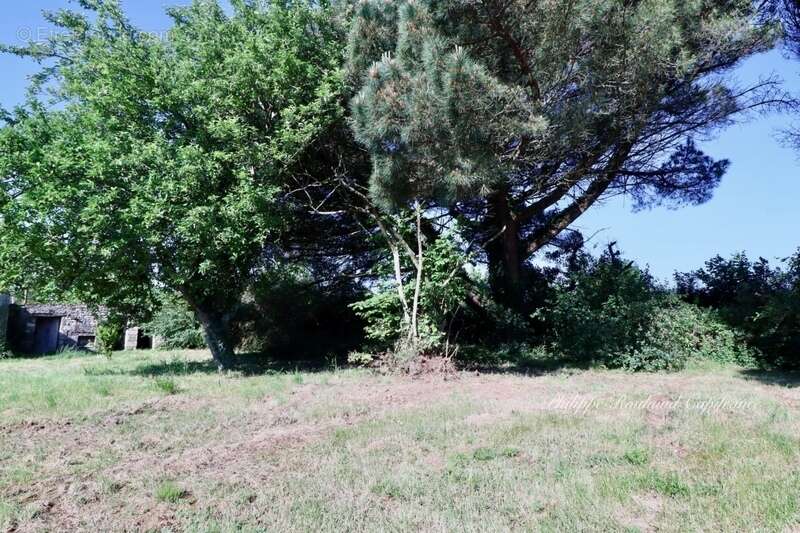 Maison à LA CHAPELLE-THEMER