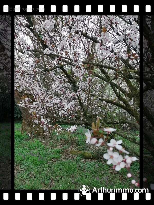 Appartement à MONTBELIARD