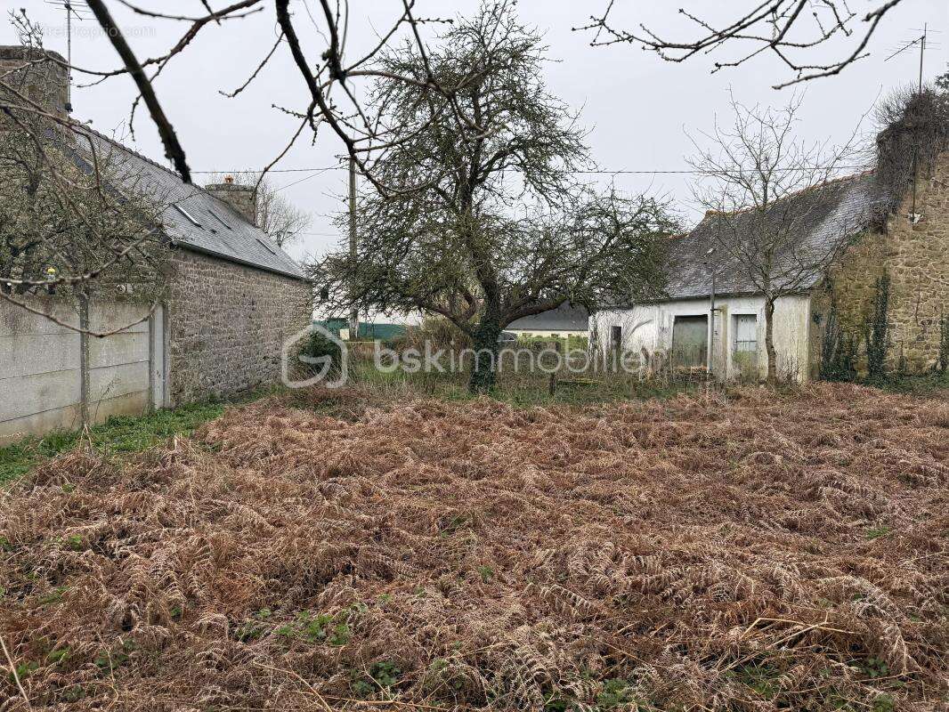Terrain à TONQUEDEC