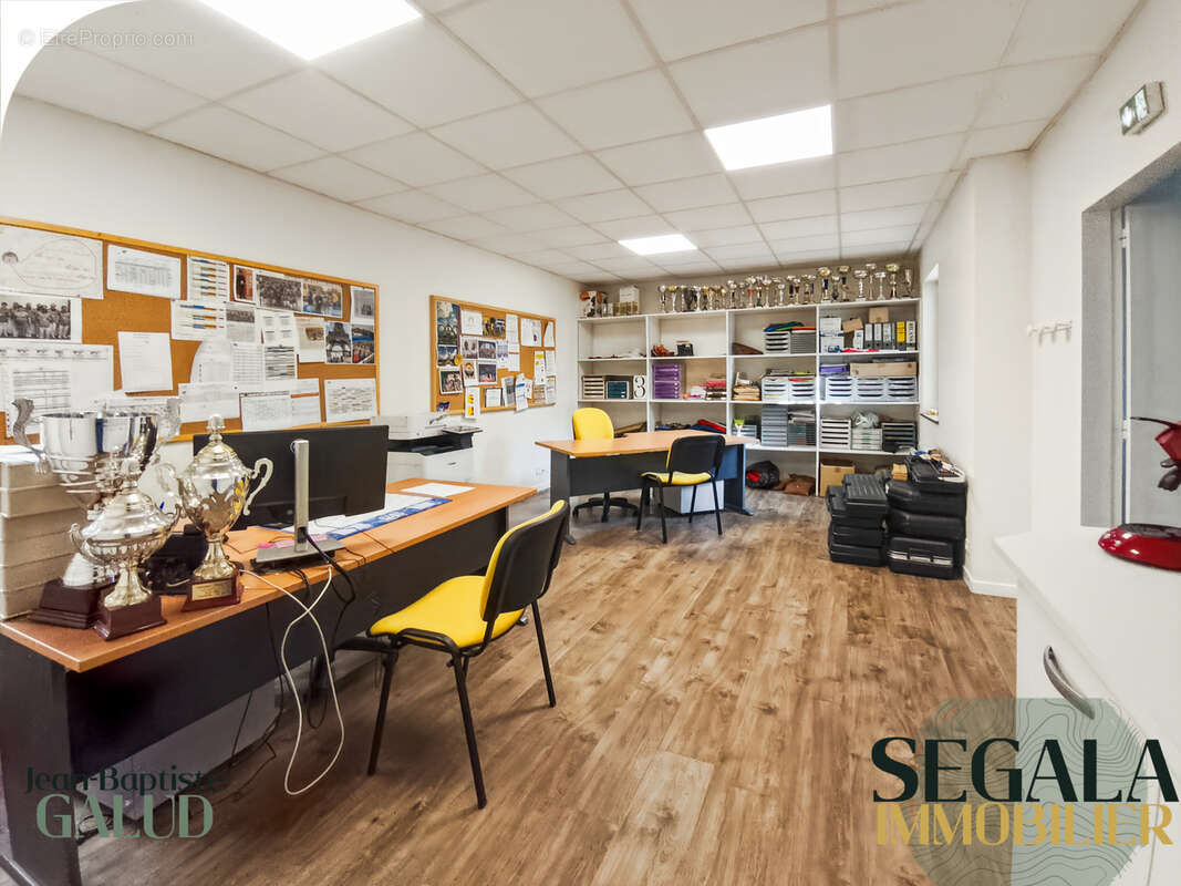 BLAYE LES MINES - Local professionnel 420 m2 - photo 9