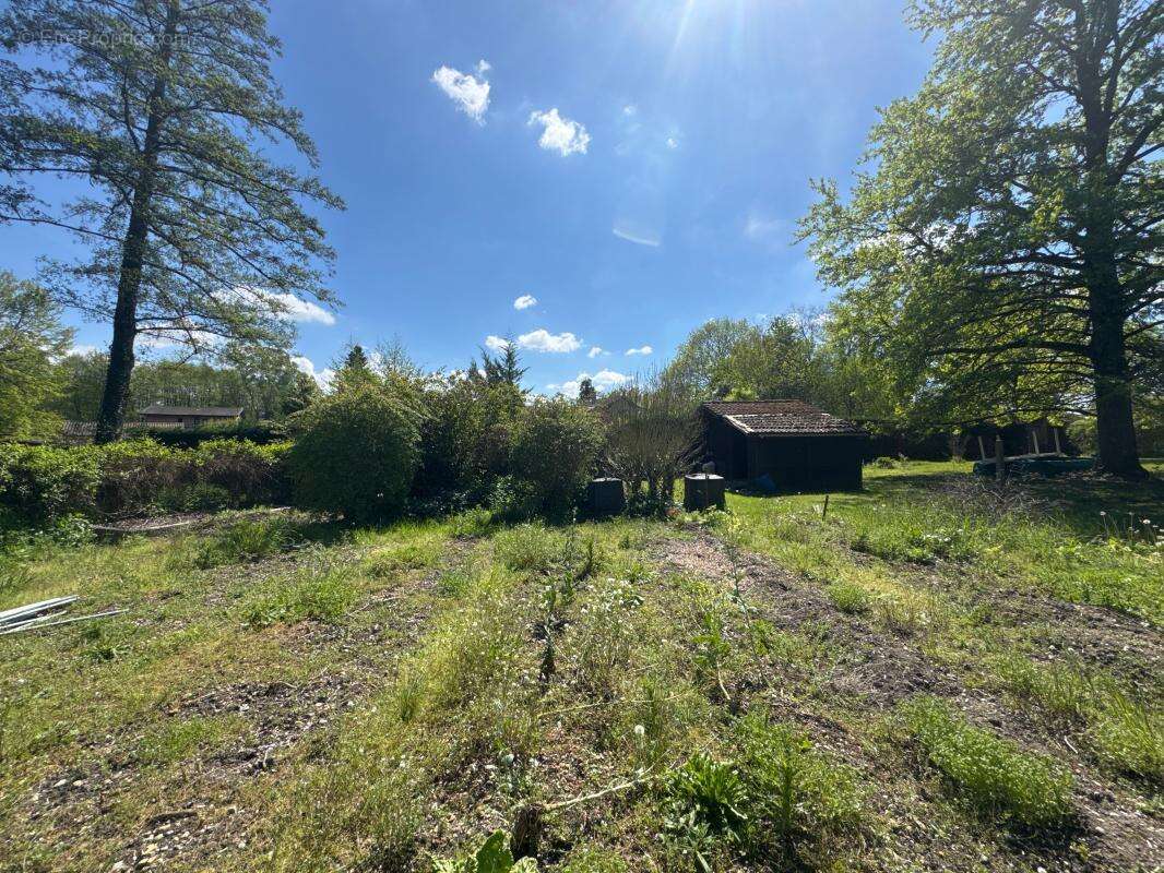 Terrain à SAINT-ROMAIN-DE-JALIONAS