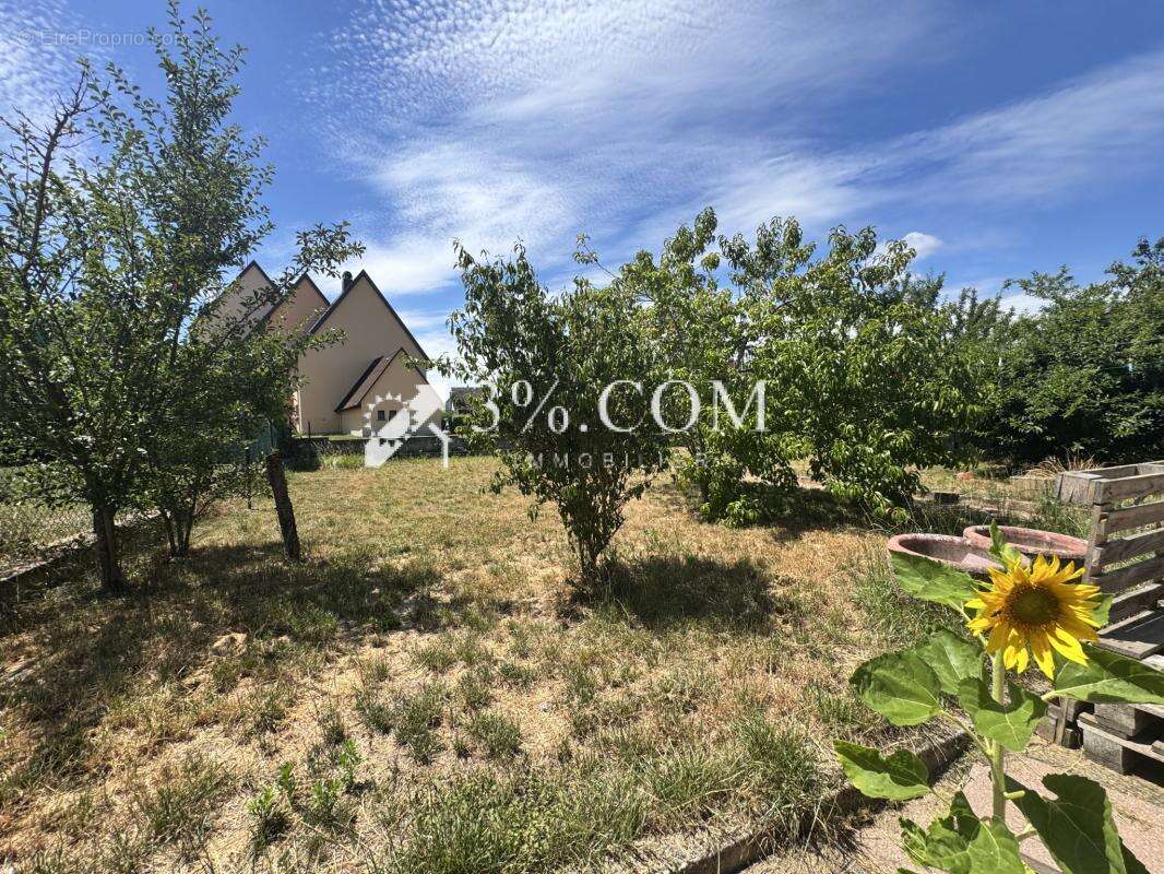 3%COM Maison à Steinbourg sur 6,19 ares - photo 11
