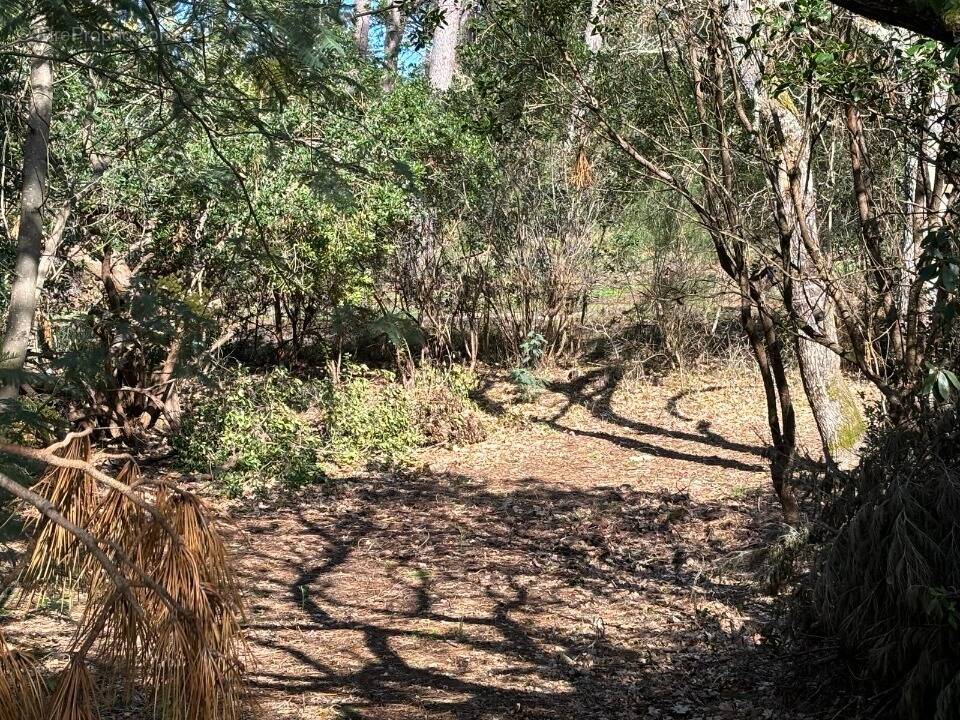 Terrain à ANDERNOS-LES-BAINS
