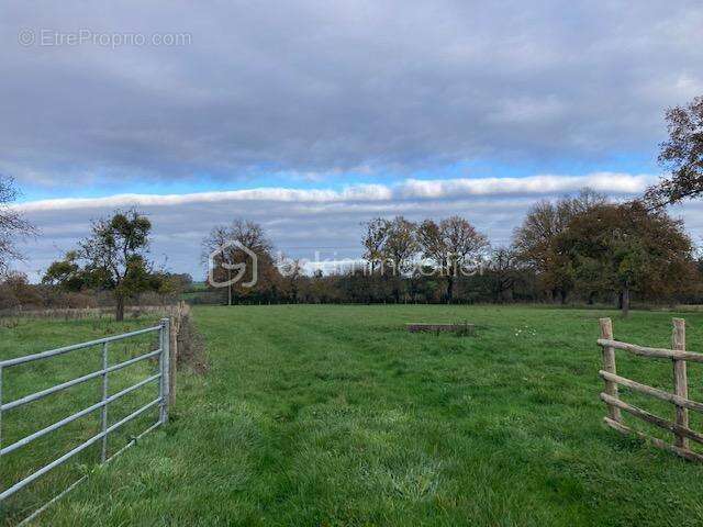 Maison à SAINT-OUEN-DES-TOITS