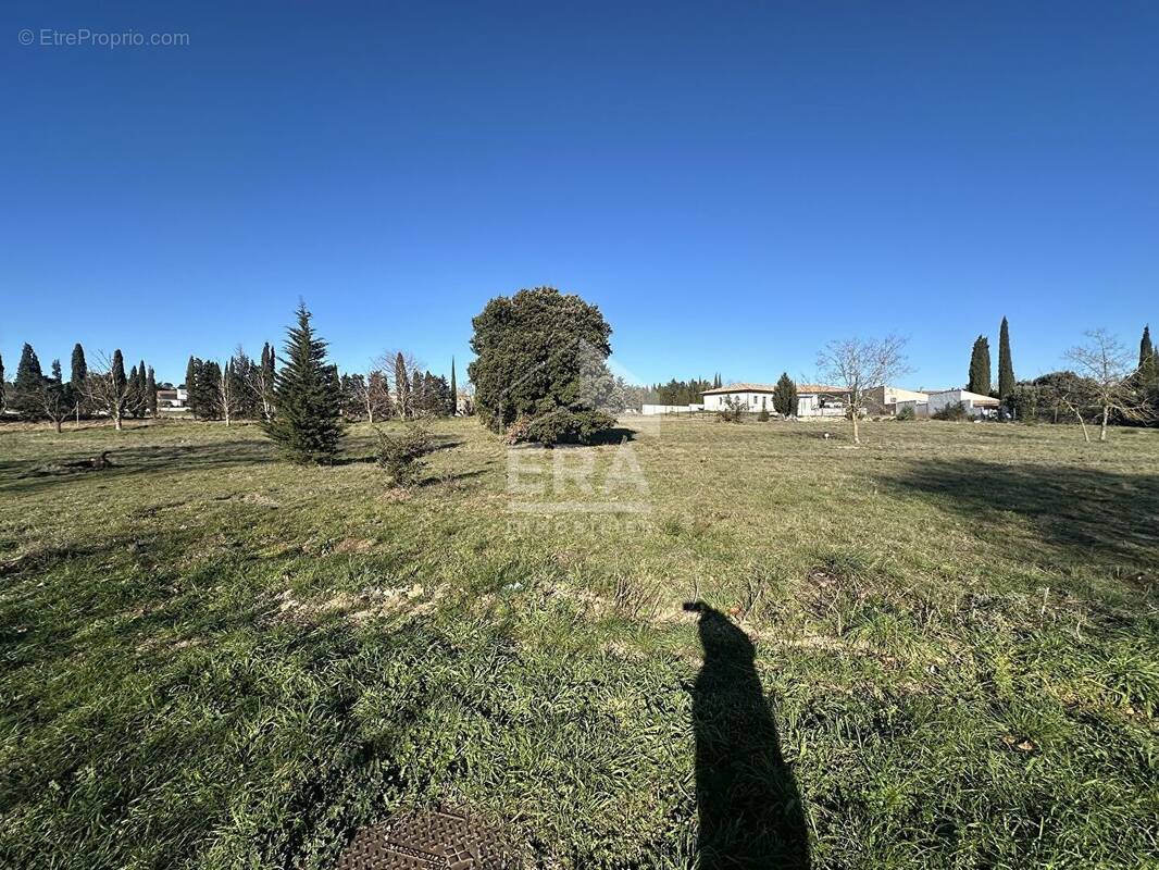 Terrain à MOUSSOULENS