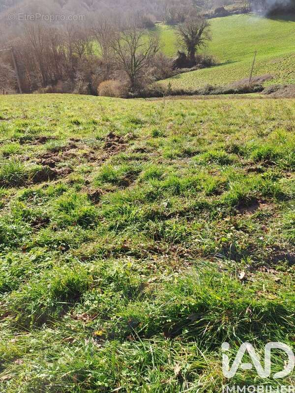 Photo 9 - Terrain à SARRAGUZAN