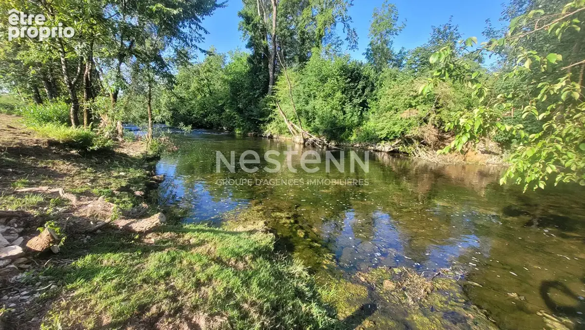 Bien rare à nancois-sur-ornain 583 m² environ vue sur la nature, terrasses, piscine hors sol amménagée et acces a la riviere - photo 2