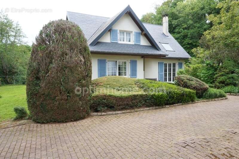 Maison à vendre 6 pièces climatisées, piscine  + local professionnel à COULEVON (70) - photo 4